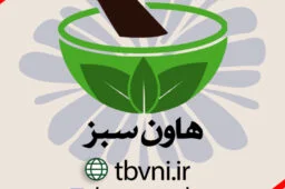 لگوی هاون سبز