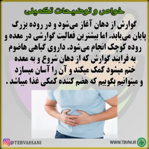 توضیحات تکمیلی هاضوم